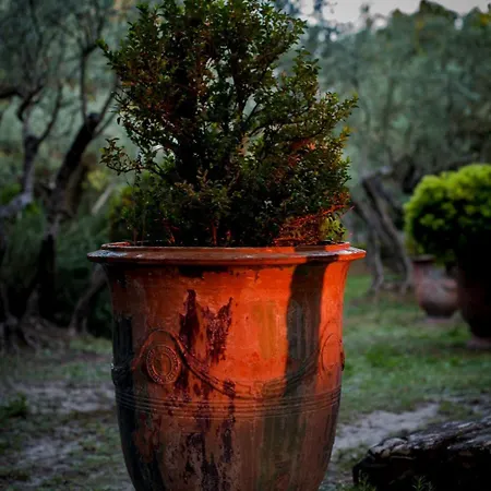 Villa Mas Exceptionnel A Lagnes, Provence *